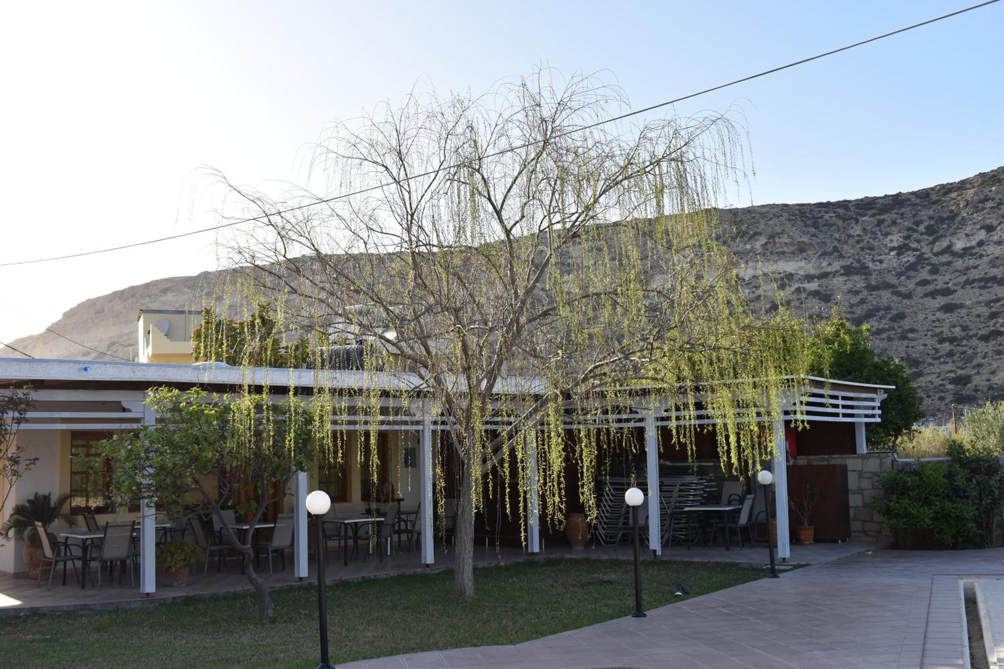 Dimitris Villa Hotel 마탈라 외부 사진