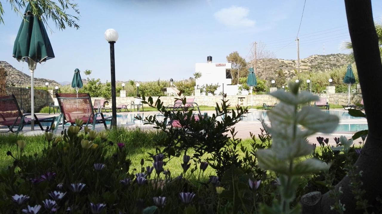 Dimitris Villa Hotel 마탈라 외부 사진