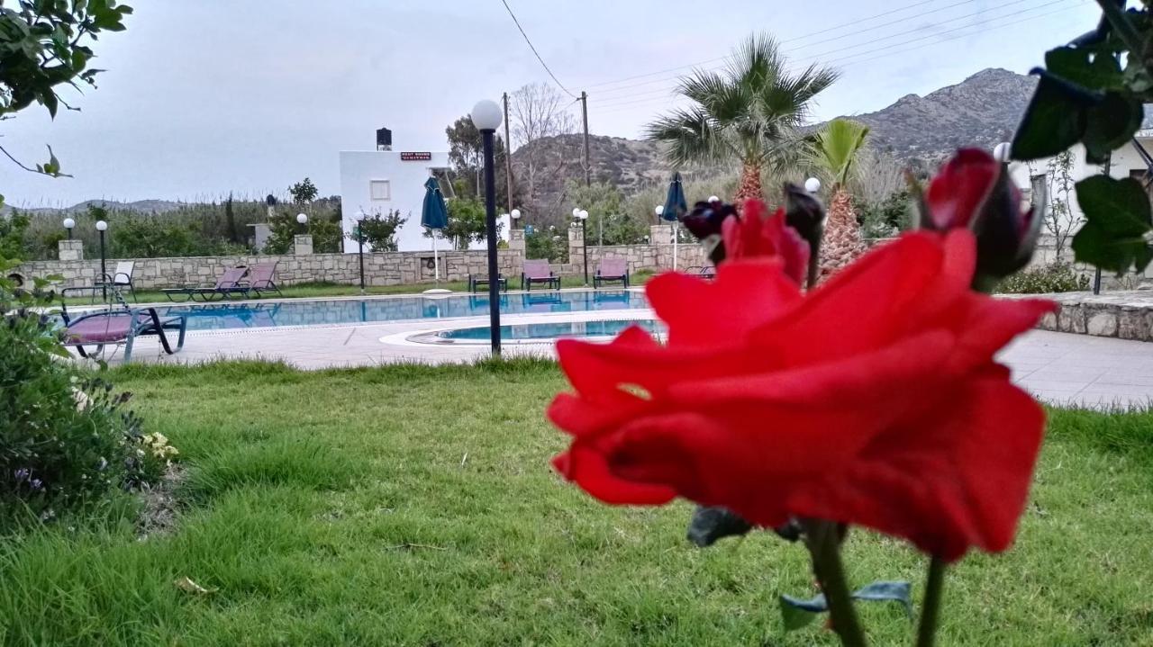 Dimitris Villa Hotel 마탈라 외부 사진