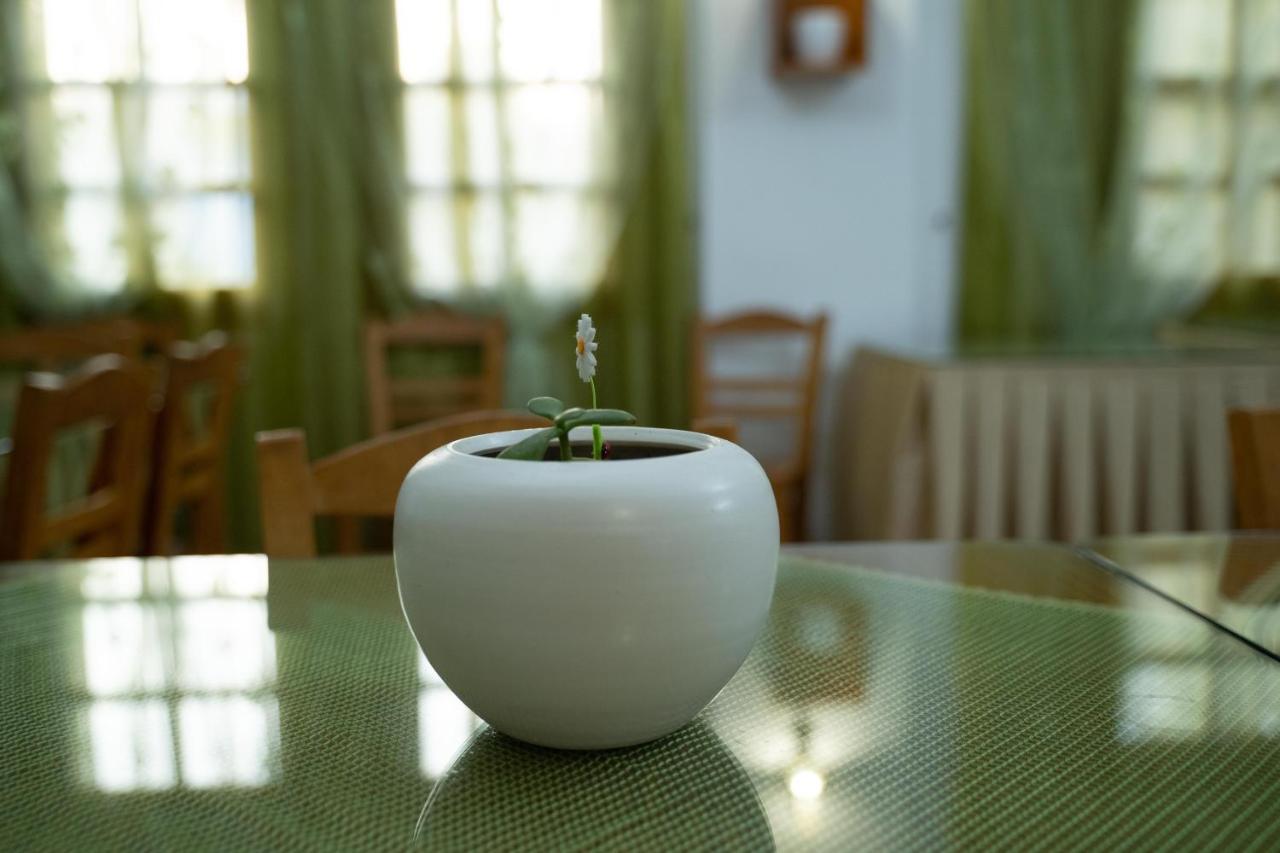 Dimitris Villa Hotel 마탈라 외부 사진